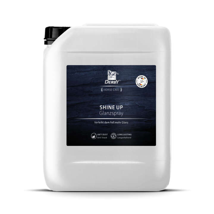 DERBY  Shine Up Glanzspray